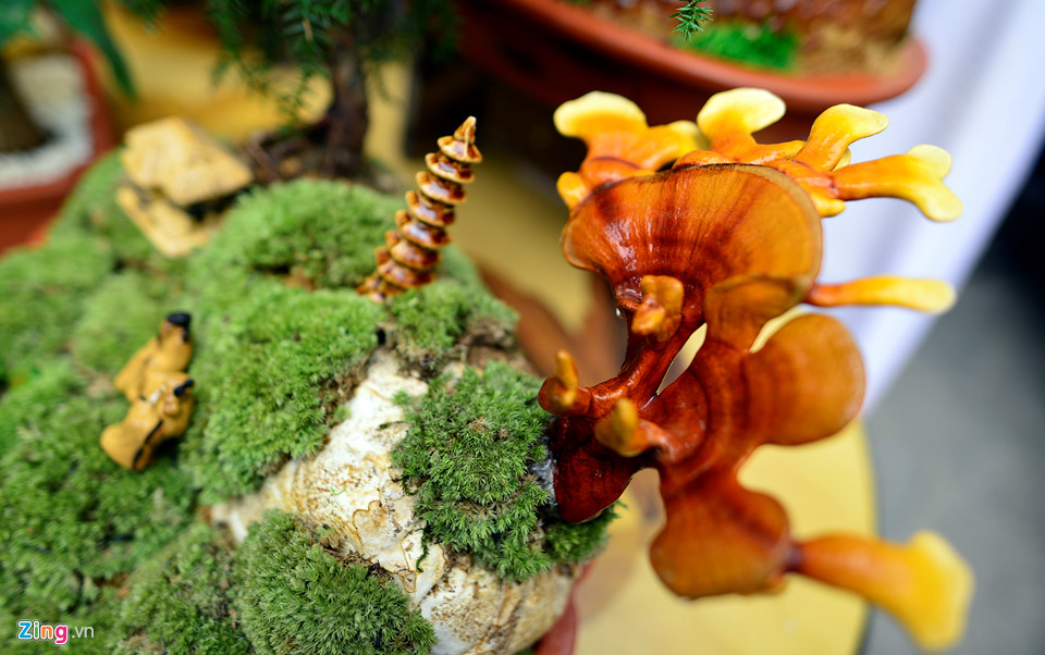 Nấm linh chi biến thành cây cảnh trưng bày dịp Tết